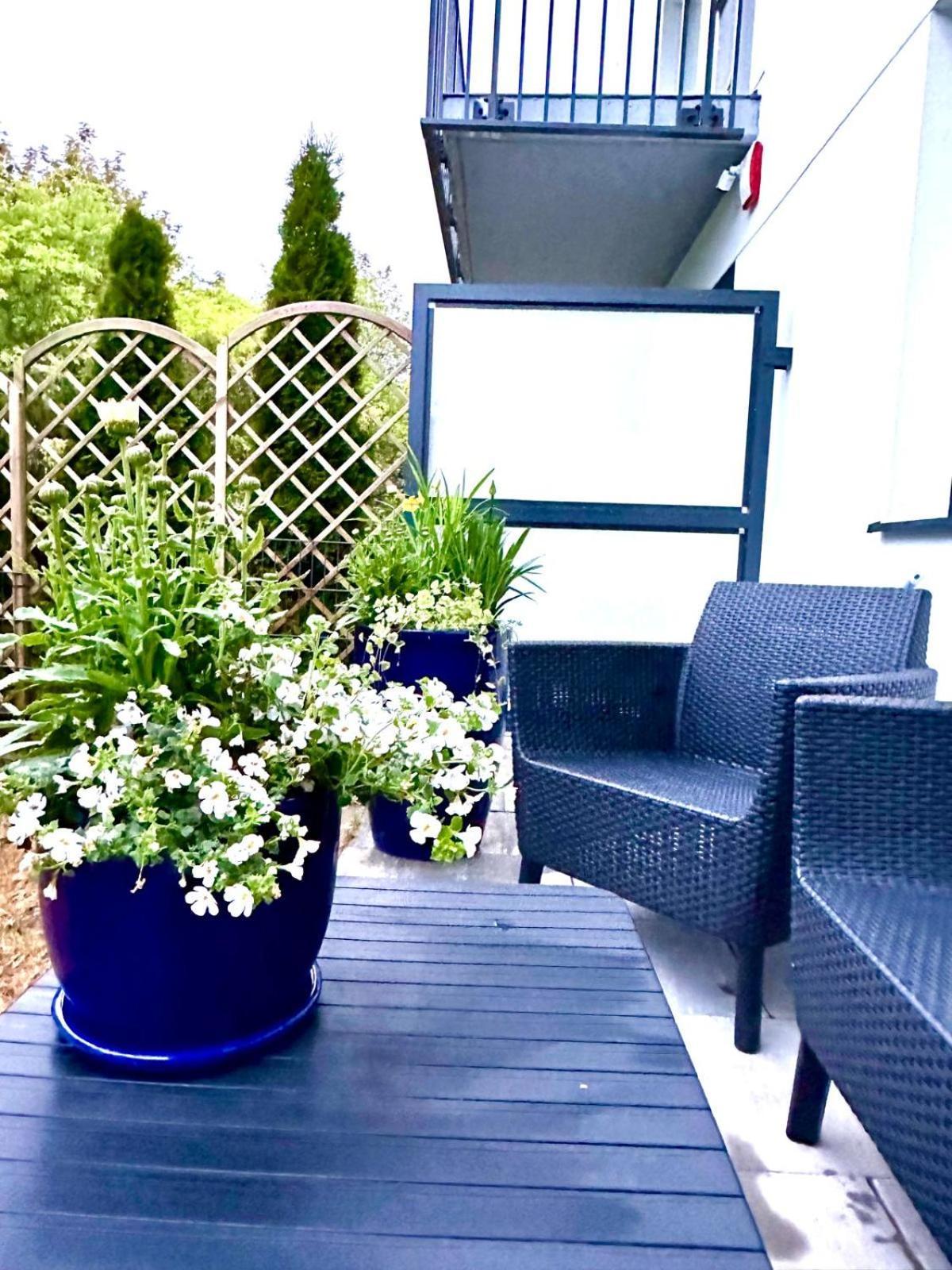 Apartament Zielone Zacisze Jastrzębia Góra Exteriér fotografie